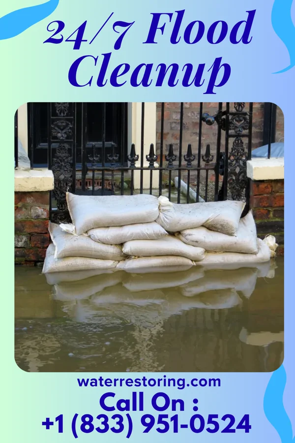 24/7 Flood Cleanup in Hoskins, NE