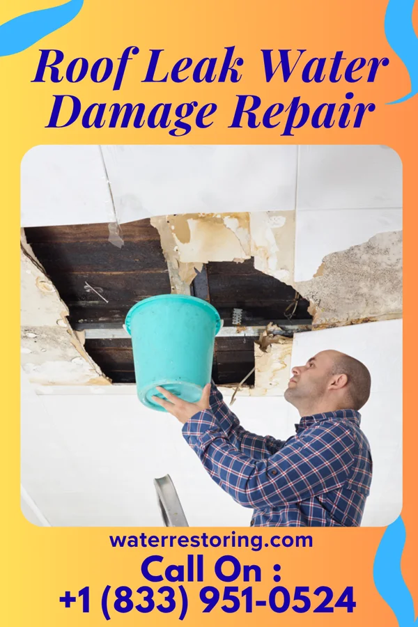 Roof Leak Water Damage Repair in Hoskins, NE